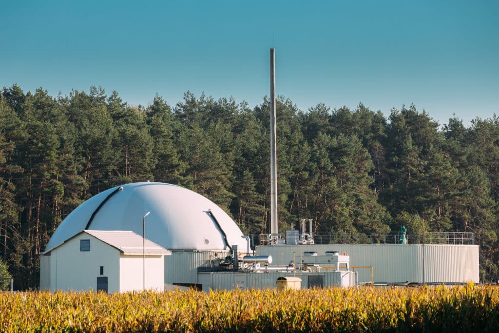 Biogasanlage Oder Bioreaktor Zur Gärung von Hühnermist